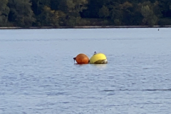 d68a5c68-ca93-443b-beb2-d16c1289222a