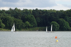 imagea081