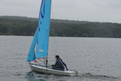 imagea127