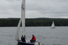 imagea137