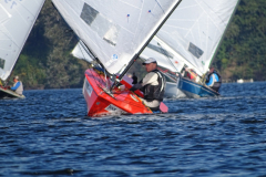 IMG-20211114-WA0008