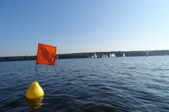 IMG-20211114-WA0010