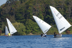 IMG-20211114-WA0014