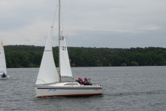 imagea008