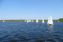 DSC07446