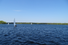 DSC07504
