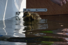 image074