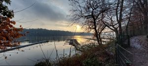 Read more about the article Winter am Halterner Stausee
